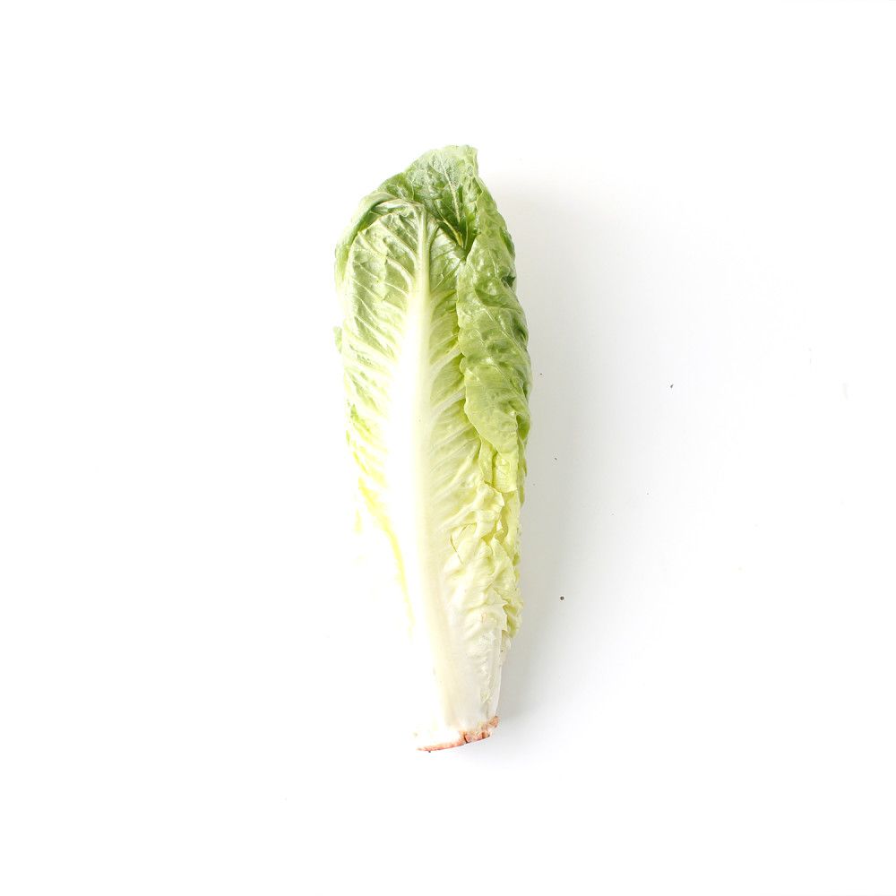 Mini cosberg lettuce